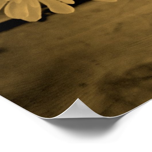 Land Daisies Poster (Hoek)