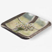 Land Daisy Boeket In Venster Papieren Bordje (Gebogen)