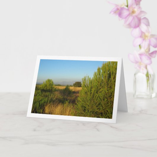 Land dennenbomen kaart (Orchidee)