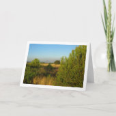 Land dennenbomen kaart (Voorkant)