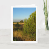 Land dennenbomen kaart (Voorkant)