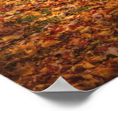 Land - Een wandeling in het park Poster (Hoek)