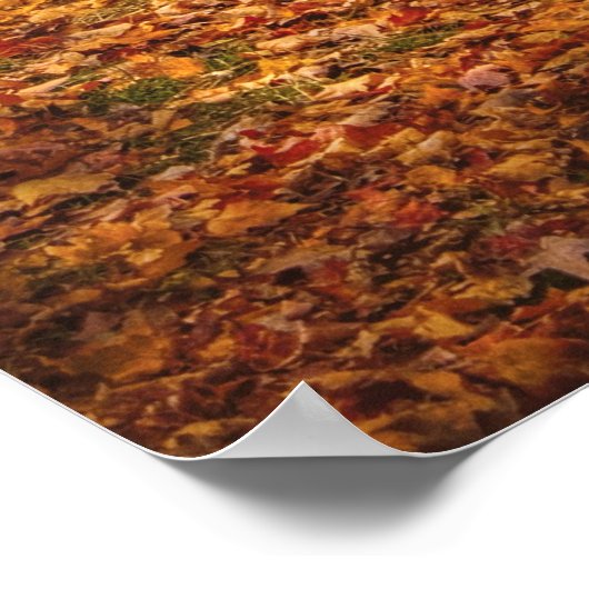 Land - Een wandeling in het park Poster (Hoek)