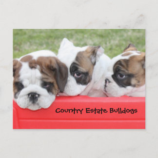 Land Estate Bulldogs Puppy Wagon Briefkaart