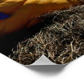 Land Fair Giant Pumpkin Blue Ribbon Poster (Hoek)