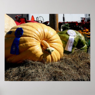 Land Fair Giant Pumpkin Blue Ribbon Poster
