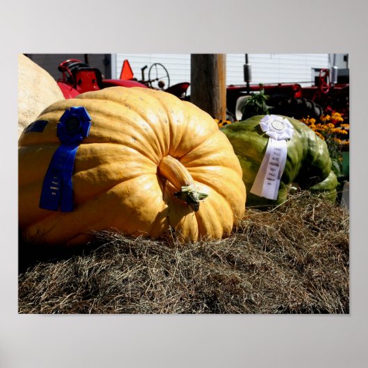 Land Fair Giant Pumpkin Blue Ribbon Poster (Voorkant)
