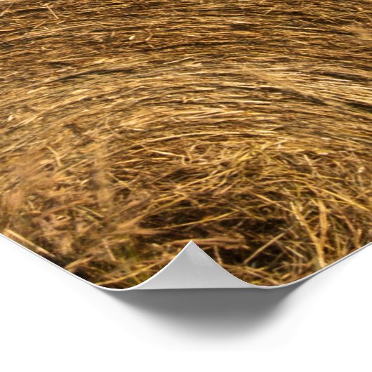 Land Hay Bales Poster (Hoek)
