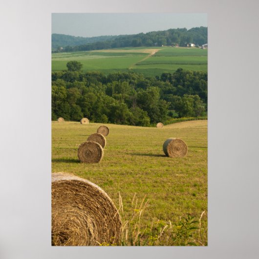 Land Hay Bales Poster (Voorkant)