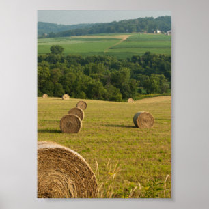 Land Hay Bales Poster