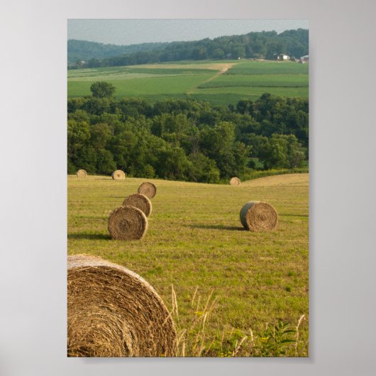 Land Hay Bales Poster (Voorkant)