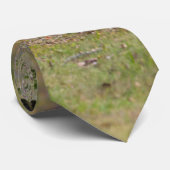 Land hek en een eekhoorn Stropdas (Opgerold)