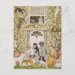 Land House Party Uitnodiging Briefkaart