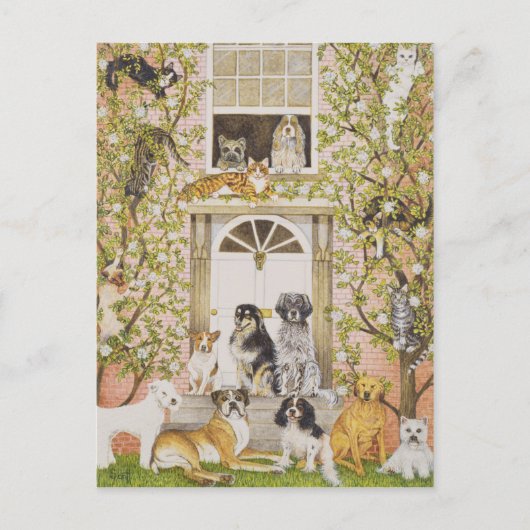 Land House Party Uitnodiging Briefkaart (Voorkant)