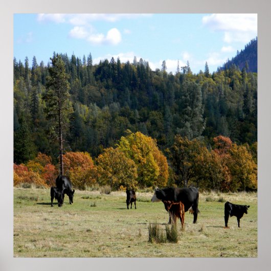 Land in de Herfst... Poster (Voorkant)