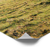 Land in de Herfst.... Poster (Hoek)