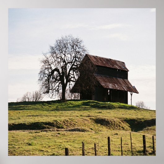 Land in de Herfst.... Poster (Voorkant)