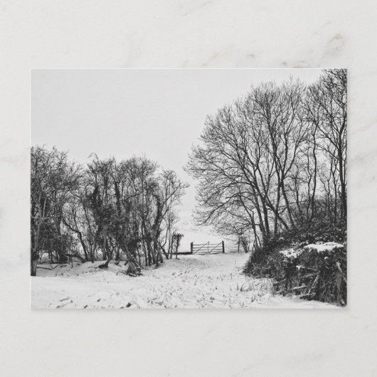 Land in de sneeuw briefkaart (Voorkant)