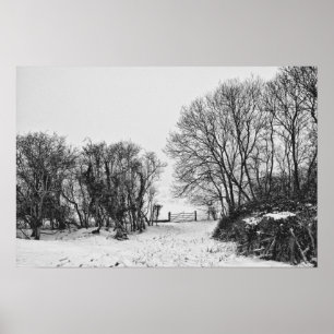 Land in de sneeuw poster