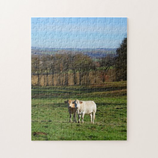 Land in de winter, Frankrijk Legpuzzel (Verticaal)