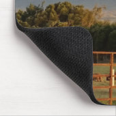 Land in Kamuela Muismat (Hoek)