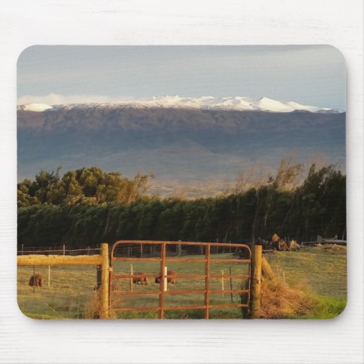 Land in Kamuela Muismat (Voorkant)