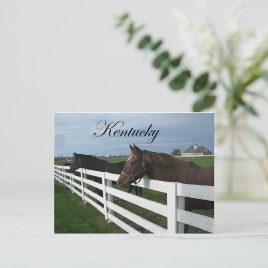 Land Kentucky Bluegrass Briefkaart (Staand voorkant)