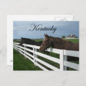 Land Kentucky Bluegrass Briefkaart (Voorkant / Achterkant)