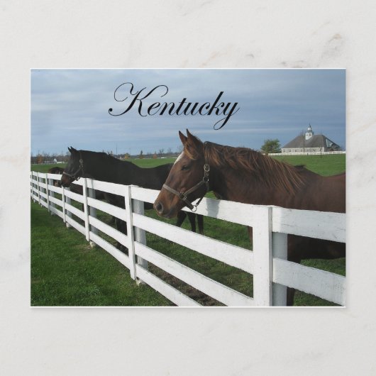Land Kentucky Bluegrass Briefkaart (Voorkant)