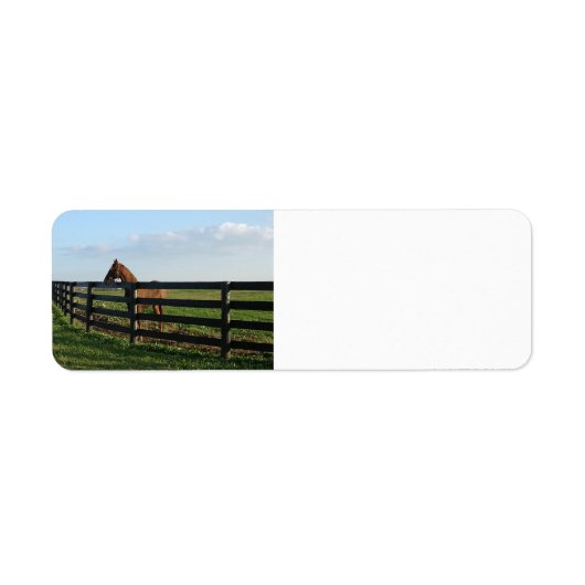 Land Kentucky Bluegrass Etiket (Voorkant)