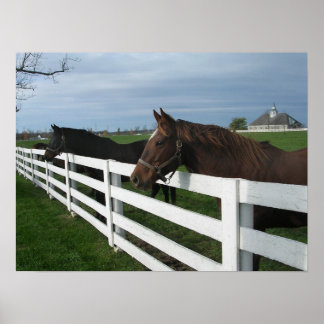 Land Kentucky Bluegrass Poster