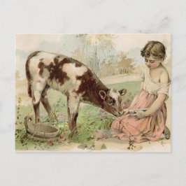 land, keukenkalf briefkaart