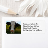 Land Koe Rundvlees Boerderij Adreslabel Etiket (Insitu)