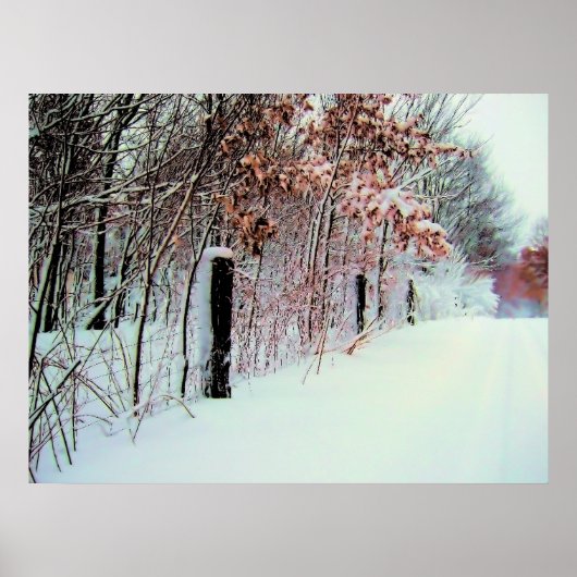 Land Koud Poster (Voorkant)