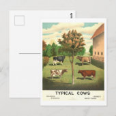 Land Leven "Typische Koeien"  lithografie Briefkaart (Voorkant / Achterkant)