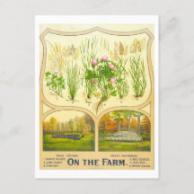 Land Life Farming  Lithograaf Briefkaart