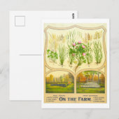 Land Life Farming  Lithograaf Briefkaart (Voorkant / Achterkant)