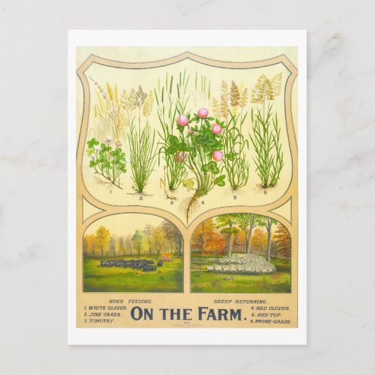 Land Life Farming  Lithograaf Briefkaart (Voorkant)