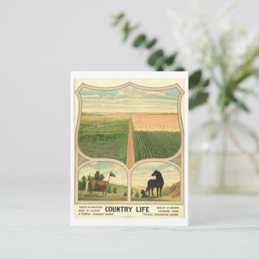 Land Life Farming  Lithograaf Briefkaart (Staand voorkant)