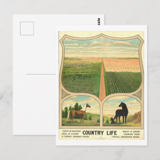 Land Life Farming  Lithograaf Briefkaart (Voorkant / Achterkant)