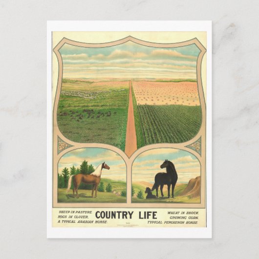 Land Life Farming Lithograaf Briefkaart (Voorkant)