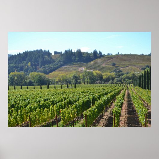 Land Napa Sonoma Valley Wine Poster (Voorkant)