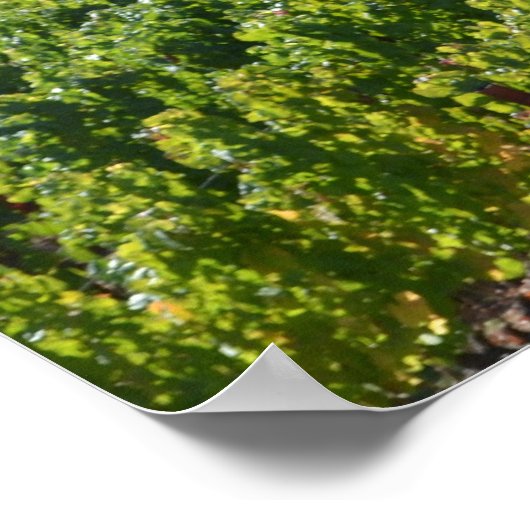 Land Napa Sonoma Valley Wine Poster (Hoek)