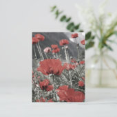 land natuur landschap rode papaver bloem briefkaart (Staand voorkant)