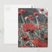 land natuur landschap rode papaver bloem briefkaart (Voorkant / Achterkant)