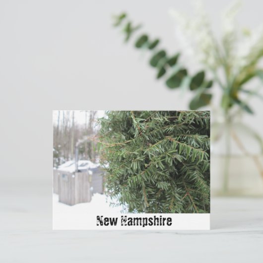 Land NH Winter Briefkaart (Staand voorkant)