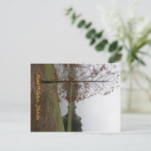 Land O"Lakes Lake Scene Briefkaart (Staand voorkant)