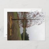 Land O"Lakes Lake Scene Briefkaart (Voorkant / Achterkant)