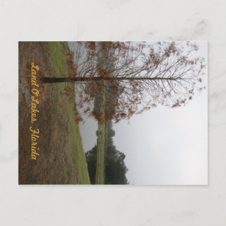 Land O"Lakes Lake Scene Briefkaart