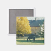 Land Paard - magneet (Voorkant / Achterkant)